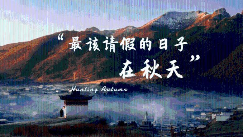 探秘阿里云保存的资源在哪里,发现有趣问答世界